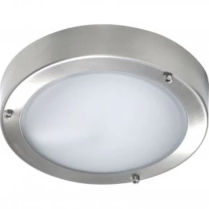 Byron Stainless Steel Wall or Ceiling Outdoor Light