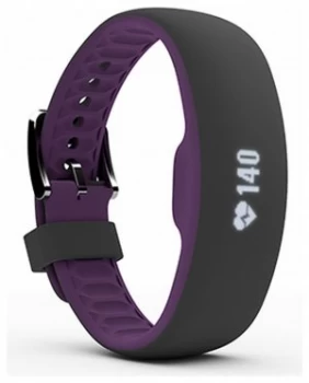iFit Axis HR Small Plum Tracker