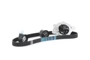 AIRTEX Water Pump + Timing Belt Kit WPK-169001 FORD,FIAT,PEUGEOT,Focus II Schragheck (DA_, HCP, DP),MONDEO IV Turnier (BA7)