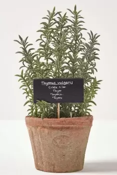 Artificial Thyme Plant in Decorative Pot
