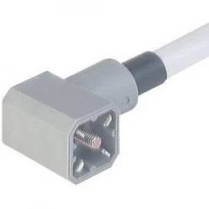Hirschmann 931 783 001 G 30 KW M Cable Connector With Moulded Lead Grey Number of pins3 PE