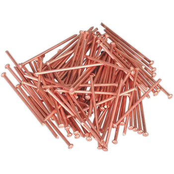 Sealey Stud Welding Nails 2mm 50mm Pack of 100