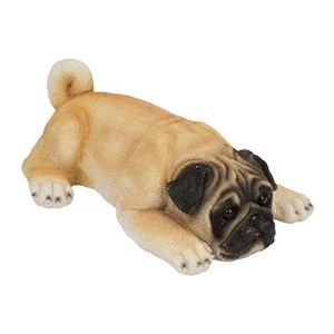 Best of Breed Collection - Pug Puppy