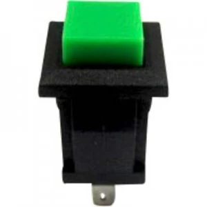 SCI R13 57A 05GN Pushbutton 250 V AC 0.5 A 1 x OffOn momentary