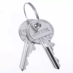 Rittal Key for use with Security Lock 3524 E