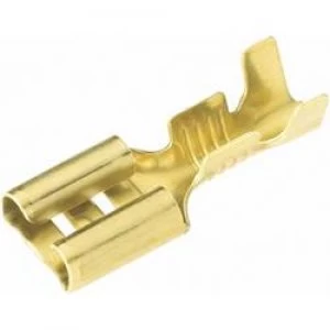 Blade receptacle Connector width 2.8mm Connector thickness 0.5 mm