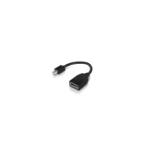 Lenovo 4X90L13971 DisplayPort cable Mini-DisplayPort Black