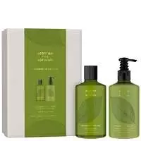 The Scottish Fine Soaps Company Coriander and Lime Leaf Luxury Gift Duo