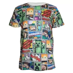 Minecraft Childrens/Kids Overworld T-Shirt (11-12 Years) (Multicoloured)