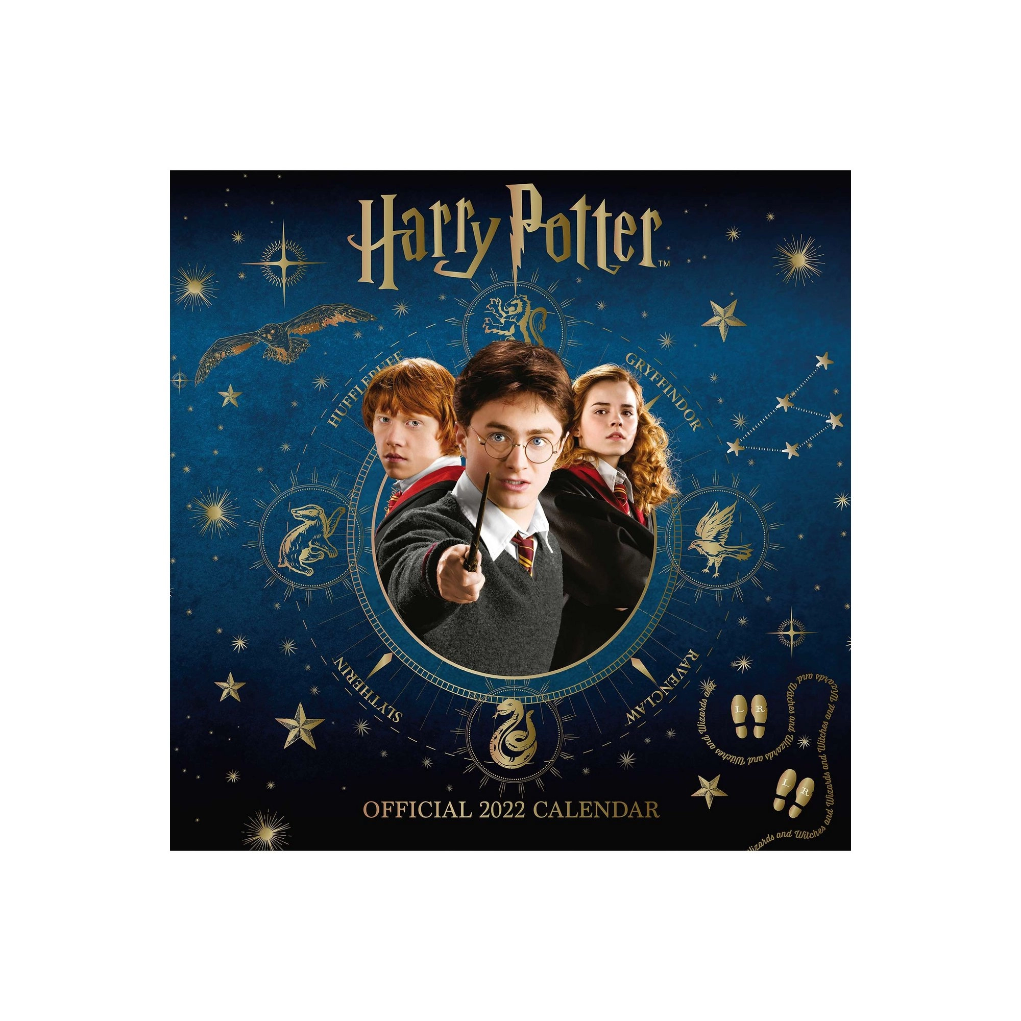 Danilo Harry Potter 2022 Square Calendar Paper - wilko