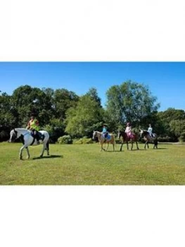 Virgin Experience Days Introduction To Horse Riding For Two In The New Forest, Hampshire