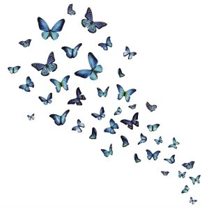 Fine Decor Fine Decor Mariposa Butterfly Wall Art Kit