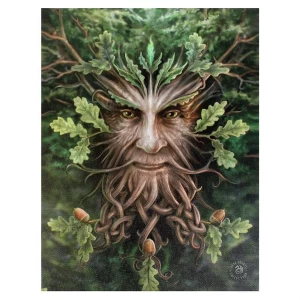 Small Oak King Canvas Picture by Anne Stokes