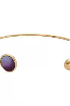 Ladies Skagen Jewellery Sea Glass Bangle SKJ1688710