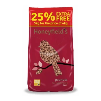 Peanuts 5kg - 71050005 - Honeyfield's