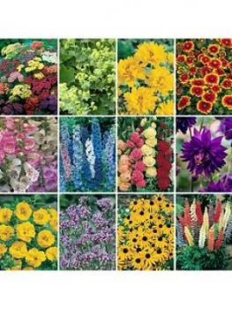 Complete Hardy Garden Perennial Collection - 24 Plugs