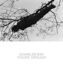 Charles Ray - Figure Ground