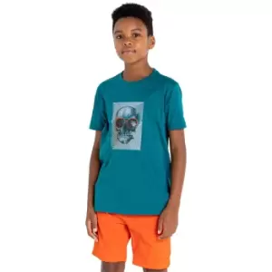Dare 2B Boys Trailblazer Casual Graphic T Shirt 9-10 Years- Chest 27-28', (69-72cm)