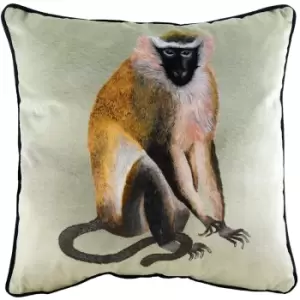 Evans Lichfield Kiable Monkey Cushion Cover (One Size) (Multicoloured)