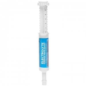 Nettex Electrolyte Syringe Paste Boost - Single