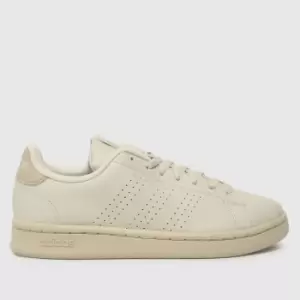 adidas advantage trainers in beige