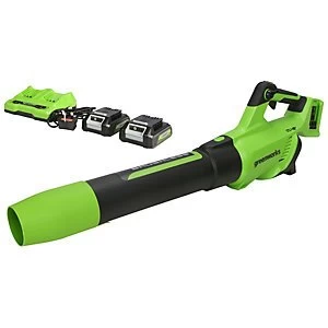 Greenworks 48v (2 X 24V) Axial Blower with 2 x 2ah Battery & charger