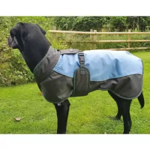 Waterproof Dog Coat - Xsmall (35 Cm) Blue / Grey - Henry Wag