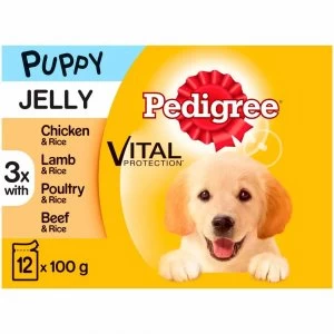 Pedigree Puppy Food in Jelly 12 x 100g