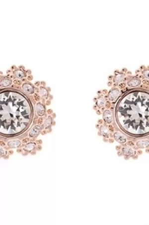 Ted Baker Ladies Rose Gold Plated Seraa Crystal Daisy Lace Stud Earring TBJ1584-24-02