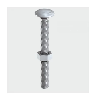 10150CBSSP Carriage Bolt SS 10 x 150mm Bag of 2 - Timco