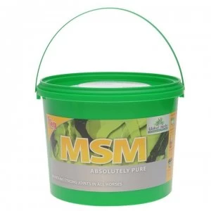 Global Herbs MSM Pure Supplement