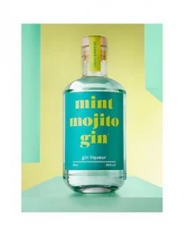 Firebox Mint Mojito Gin Liqueur 50Cl