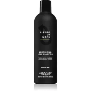 Alfaparf Milano Blends of Many Energizing Shampoo For Fine Hair And Hair Without Volume 250ml