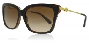 Michael Kors Abela I Sunglasses Tortoise / Orange 313013 54mm