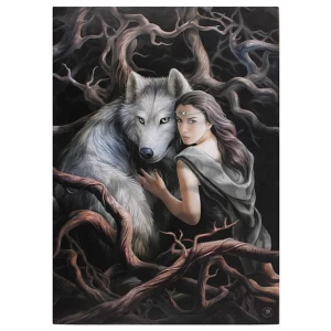 Large Soul Bond Canvas Picture by Anne Stokes