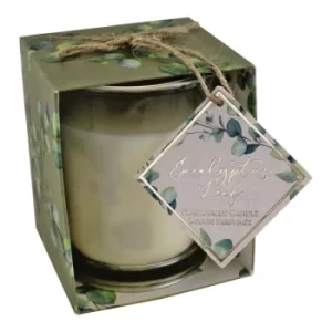 Eucalyptus Leaf Fragranced Candle in Gift Box