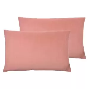 Contra Twin Pack Polyester Filled Cushions