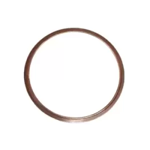 DT Spare Parts O-Ring, cylinder sleeve SCANIA 1.10891