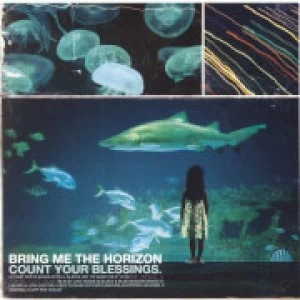 Bring Me The Horizon - Count Your Blessings LP