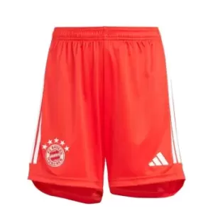 adidas Bayern Munich Home Shorts 2023 2024 Juniors - Red