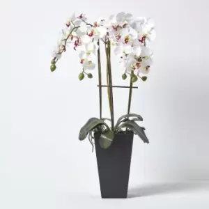 Artificial Flowers Oriental Style White Orchid in a Black Pot, 70cm - White - Homescapes