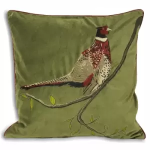 Riva Home Hunter Velvet Pheasant Cushion Cover (45x45cm) (Green)
