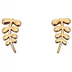 Ladies Orla Kiely Gold Plated Earrings