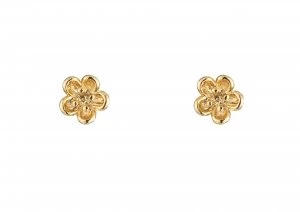 Estella Bartlett EB536C ladies earrings Gold Silver