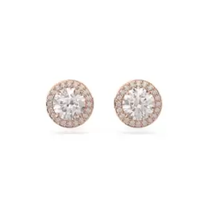 Constella Stud Round Cut Pav White Rose Gold-tone Plated Earrings 5636275