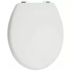 Matt White Toilet Seat - Premier Housewares