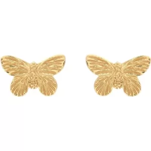 Ladies Olivia Burton Gold Plated Sterling Silver 3D Butterfly Studs