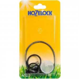 Hozelock Annual Service Kit for Plus and Standard Pressure Sprayers
