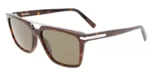 Salvatore Ferragamo Sunglasses SF 1037S 240