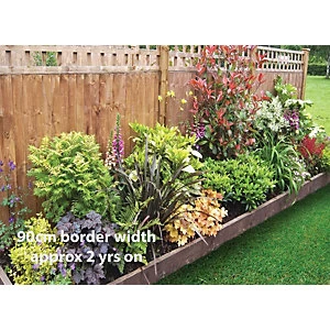Garden On A Roll Mixed Shady Border Pack 8m x 90cm Plants - wilko